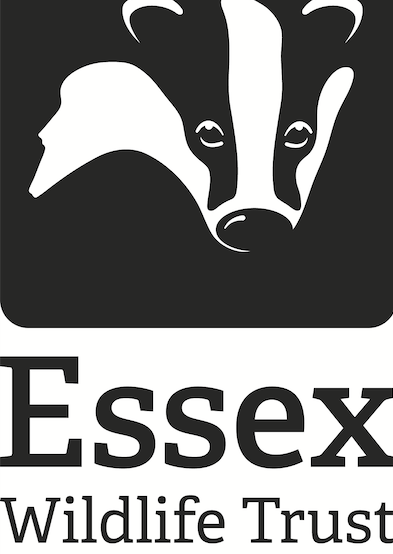 essex wildlife trust